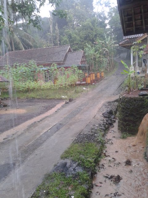 Sore ini kp pasirjoho desa jatiwaras kec jatiwaras hujan deras #cuacajatiwaras @infojatiwaras