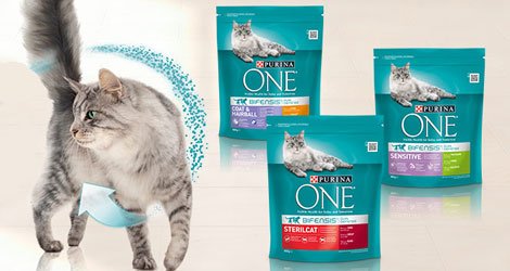 #Deutschland #Purina #gratisproben #produkttester #gewinnspiel #Forme #Dm

Purina one katzenfutter gratis testen
hekit.de/gratis-katzenf…