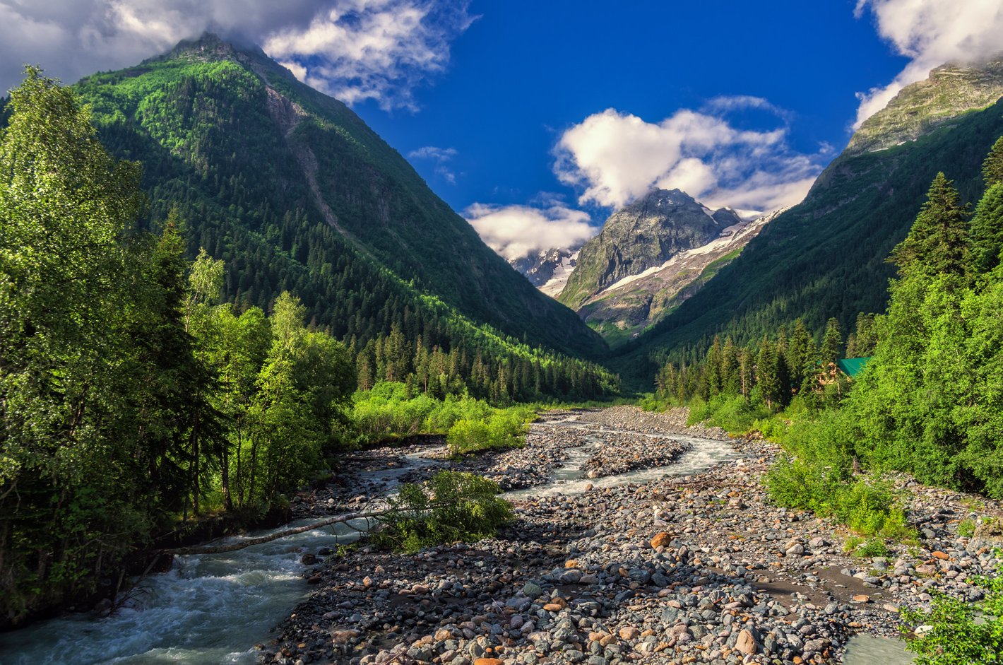 ��������� ��������� ������� ��������� �������� ���� �����������