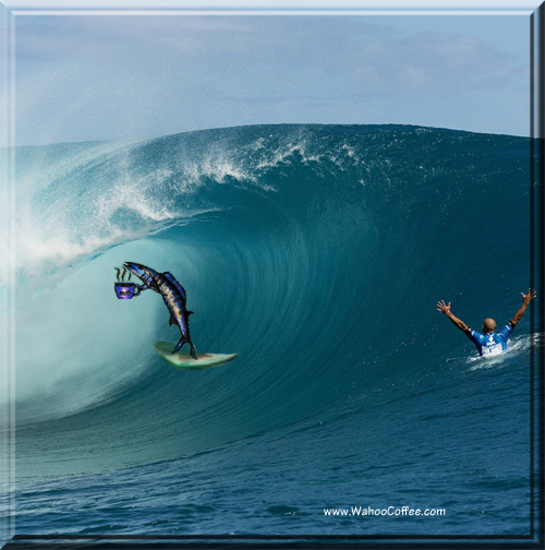 Wahoo Coffee tweet media