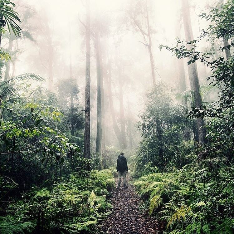 Out of the concrete jungle into the real one, nothing beats a good adventure! Great photo … ift.tt/2lrxJFM