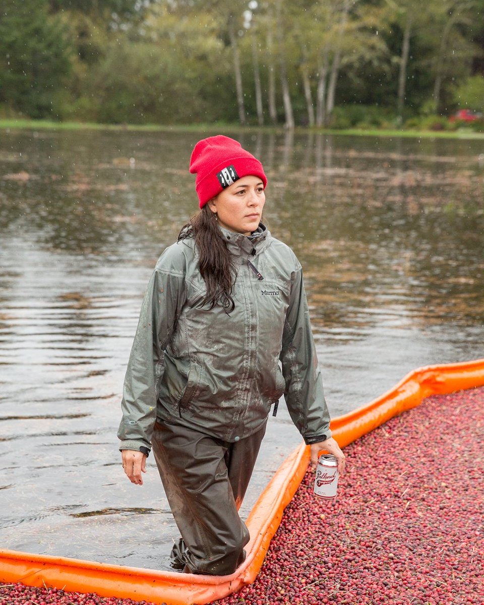 Farm Founder Jessika was warned that organic cranberries were impossible. Nevertheless, she persisted. #bosslady #neverthelessshepersisted