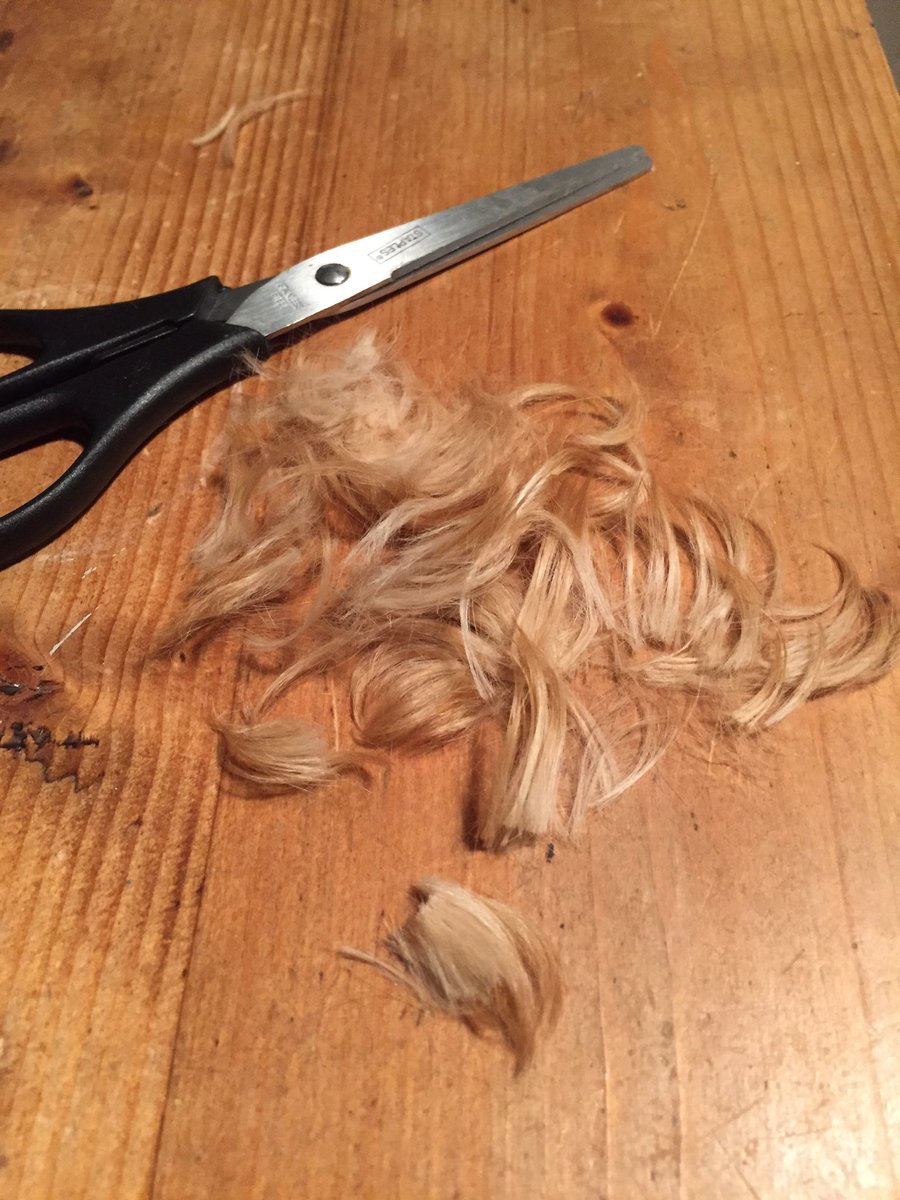 lillyapoo's tweet image. I think my human mum took too much off my fringe, I now feel the cold even more but can at least now see out 👀🐶👍🏻 #barbercut #dogcut