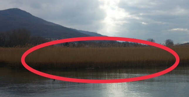 View image on Twitter