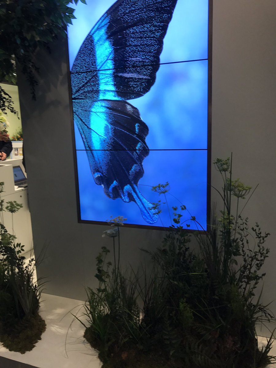 PaulMacca1976's tweet photo. Wow the @Wedgwood_UK stand at @ambiente is stunning @Publicasity #homePR https://t.co/6hfTVVklKC