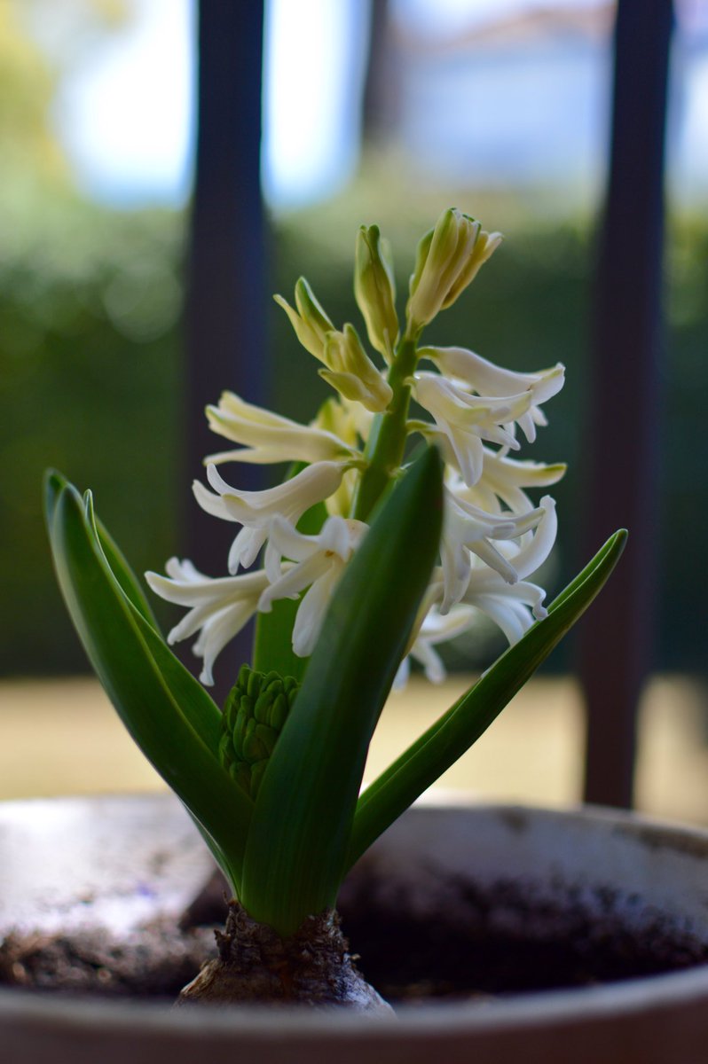 xtingdd's tweet image. 