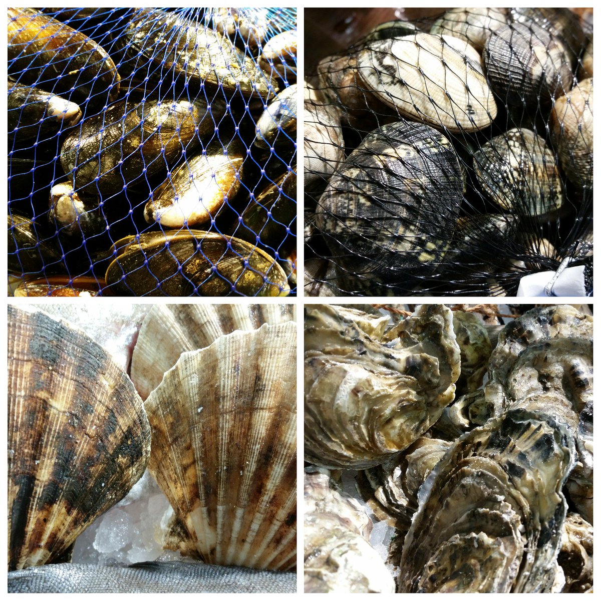 PhilsPlaice's tweet photo. A nice selection of fresh shellfish on our counter today .. @TaylorFoods #loveshellfish https://t.co/IkNS8Zn6jO