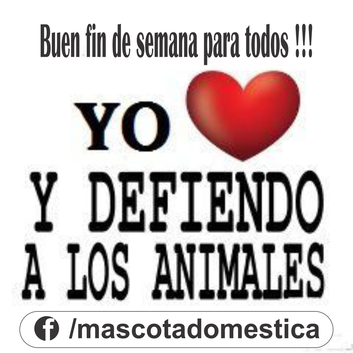 lasmascotas's tweet photo. #BuenViernes #FelizFinde Si tienes un animal dale todo !! el sabrá agradecerlo !! @lasmascotas https://t.co/lyUYNks2DI