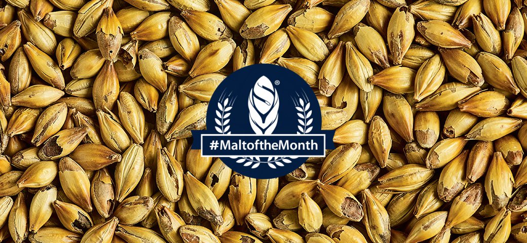 Our #MaltoftheMonth for February is Simpsons DRC® #homeofgoodmalt