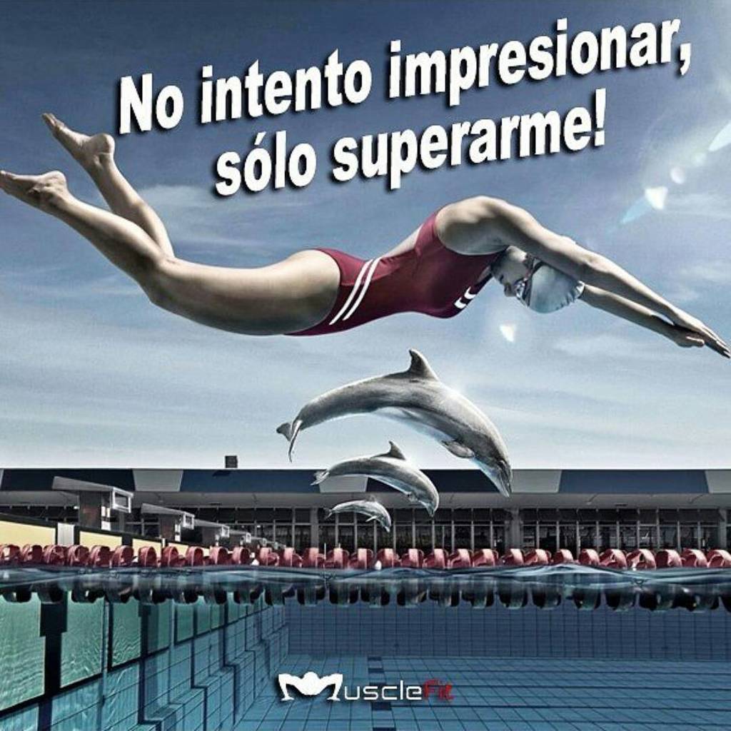 MuscleFit_ve's tweet photo. La mente es todo, te conviertes en lo que piensas... #vitalidadentusmanos #venezuela #crossfit #crossfitter #suplem… https://t.co/2sQyZeKqQm