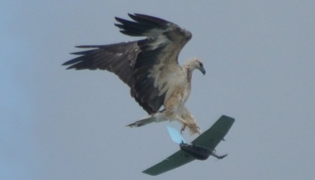 rafasith's tweet photo. Diferenciando objetos voladores biológicos (pájaros) de no biológicos (#Drones) Huella #MicroDoppler en el radar
https://t.co/1wANfh94ja https://t.co/bXRupk9sHy
