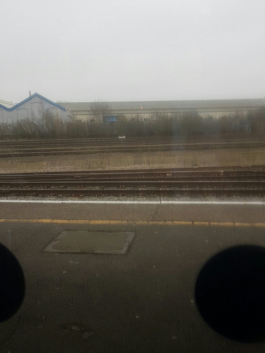 dylanselvageCod's tweet image. On my way home