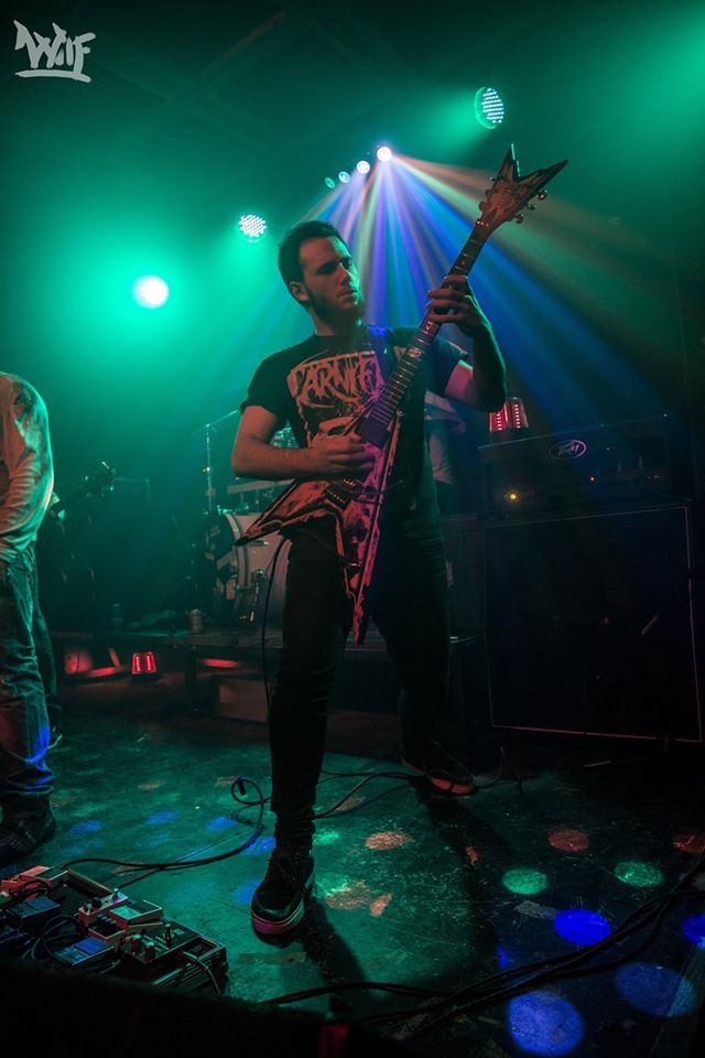 BLEEDER_DM tweet picture