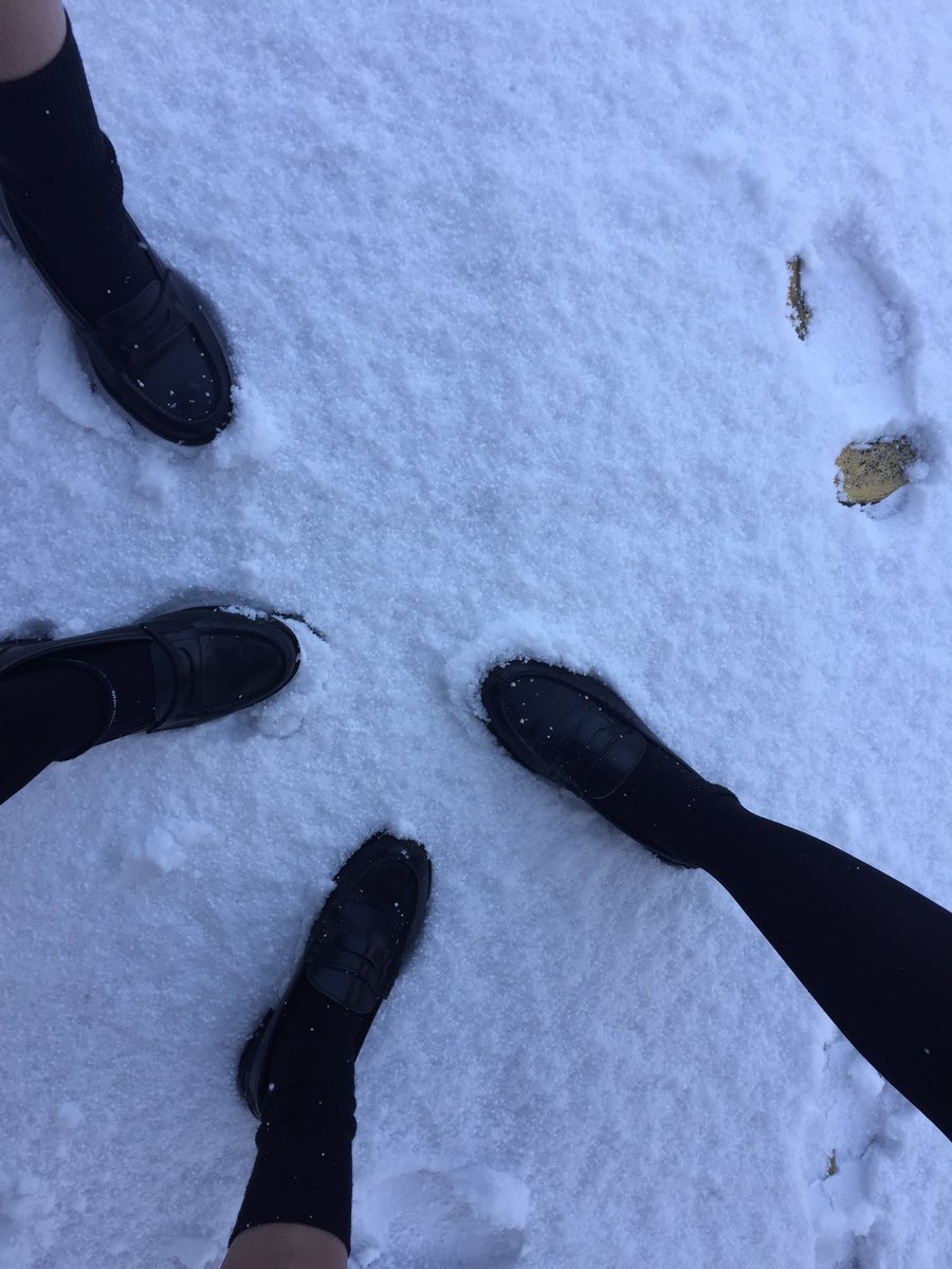 snt_O4's tweet photo. .
02.10 (( Fri ))

わざわざHR遅刻してまで、4人で雪遊びしてきました⛄️❄️
さむかったです。 https://t.co/rPGwx5yogp