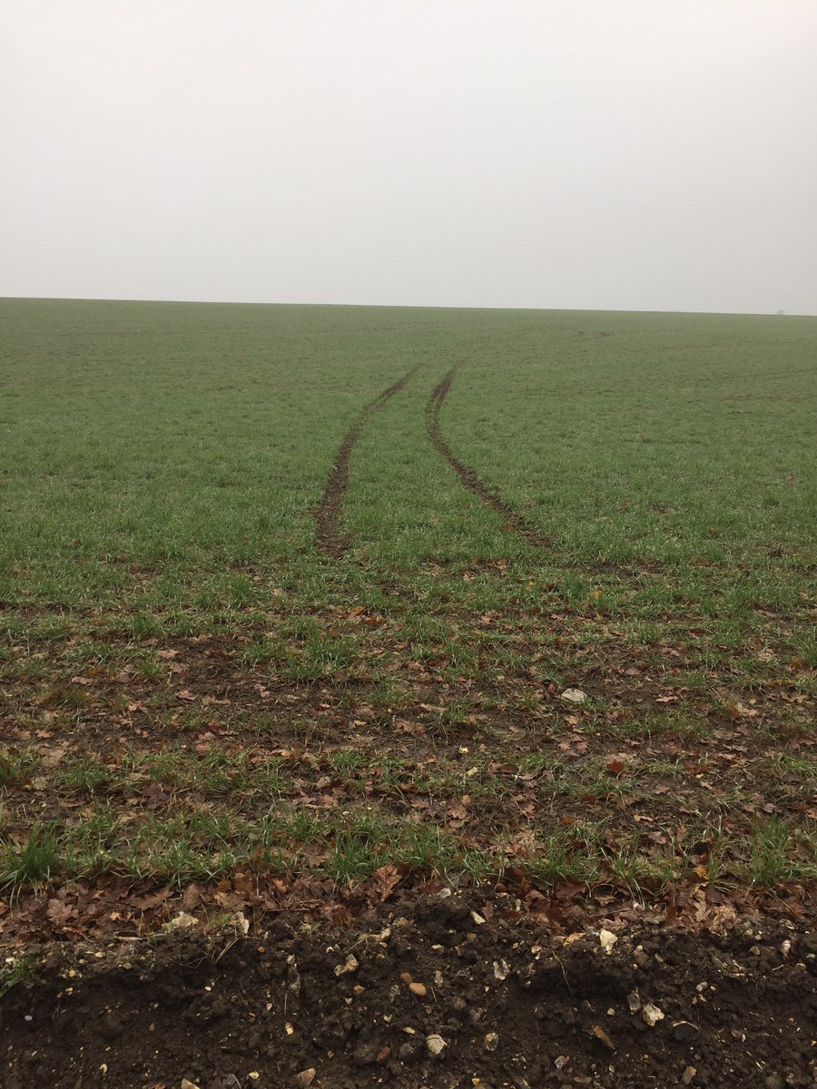 ian_pigott's tweet photo. Frankly getting pretty fed up with this #harecoursers tearing across Herts/beds fields - a weekly occurrence met with complete #policeapathy https://t.co/oBzxqcx0CE