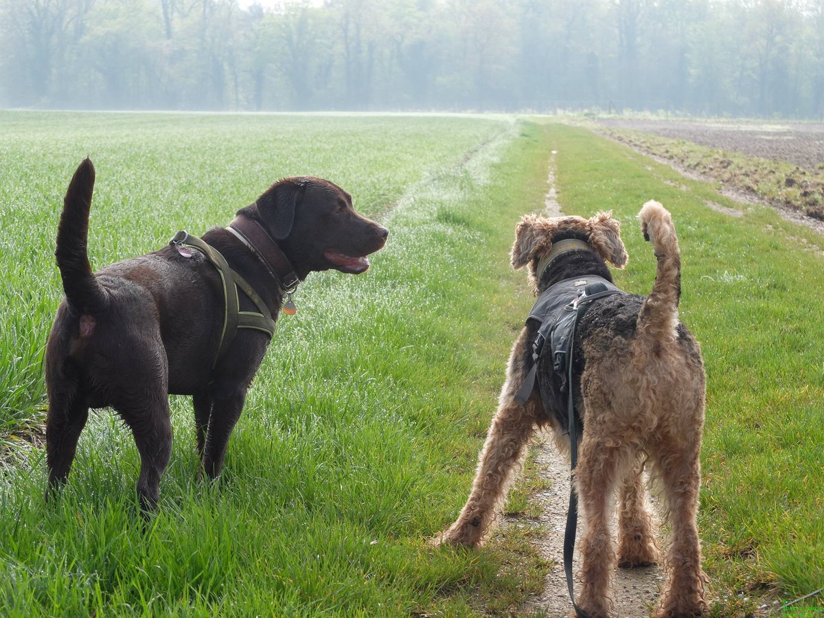 Ernie:" Let's play another round of tag!"