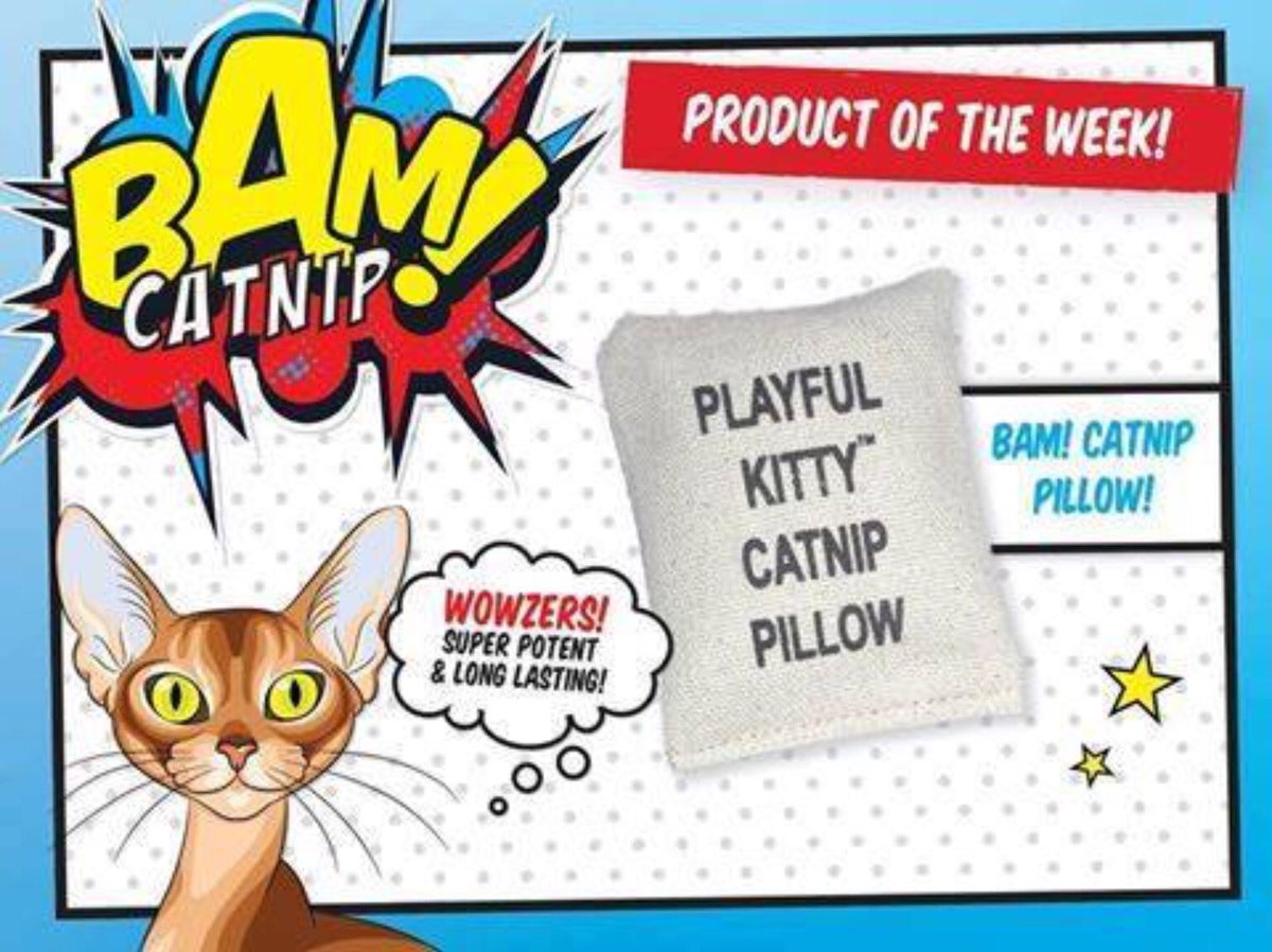 BAM_Catnip's tweet image. The BAM! Catnip Pillows are the perfect catnip filled, fun, mess-free toys for your cat!