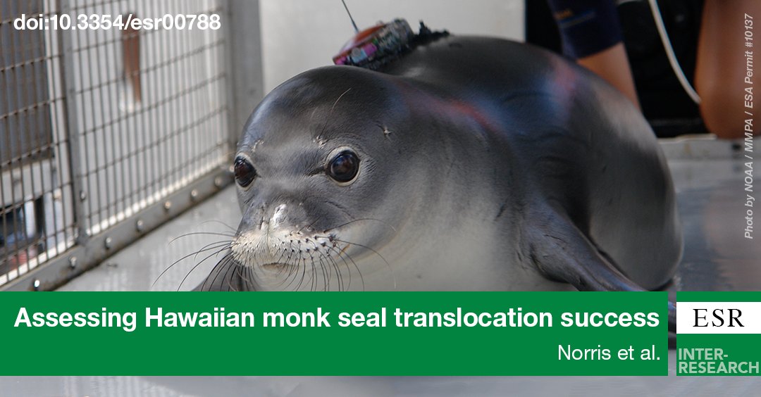 ESR_IR's tweet photo. Relocated #endangered Hawaiian #monkseals quickly learn to hunt &amp; adapt to their post-release environment #ESR #OA https://t.co/pYDM2Syn2l https://t.co/TvGqZZjBvi