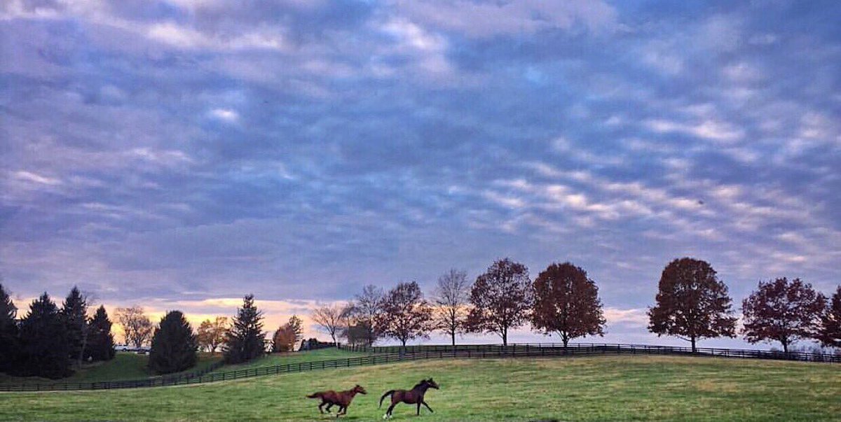 KentuckyTourism's tweet photo. Wake up and hit the ground running. Happy Friday y'all! #TravelKy
Visit us at https://t.co/EKsex54wOQ https://t.co/loqLH0QcLg