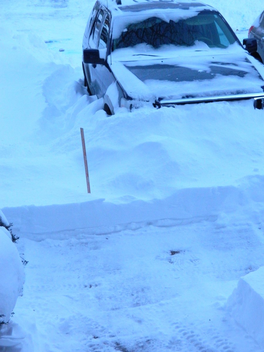 newsandviewsjb's tweet photo. Central CT - measured this a.m. - 12 and a half inches of snow ! #WinterStormChris https://t.co/V8DuzokxAn