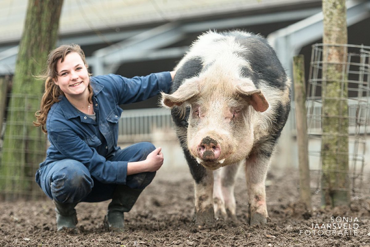 Ouwe beer Boris is deze week na gedane arbeid naar de slachterij gegaan. Hier met medewerkster Dinette, foto van <a href="/sonjajaarsveld/">Sonja Jaarsveld</a>