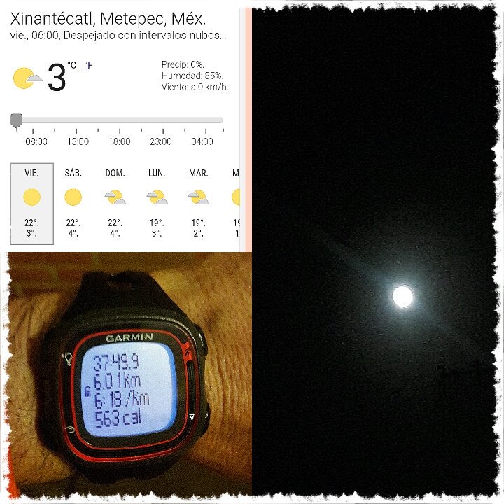 Shark_cfrc's tweet image. Empezando un nuevo día con toda la actitud!! #YoElegiCorrer #IONteam