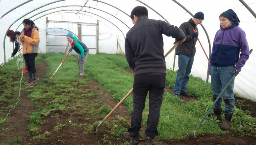 SuttonFarm's tweet image. It's #OpenSaturday weekend! Bring your friends&amp;amp;family, have a #farmtour &amp;amp; get stuck in if you like.Tomorrow 10-4pm #FridayFeeling #farmvisit
