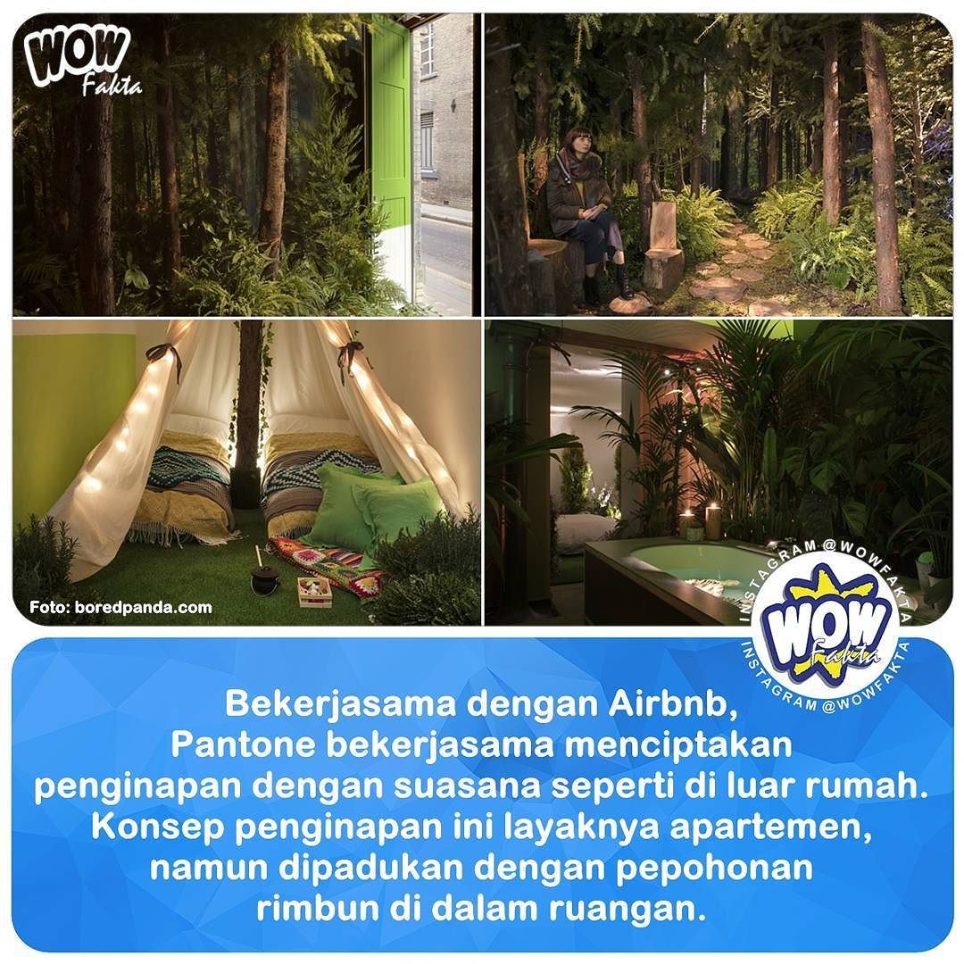 ift.tt/2kzx2Za [#wowfakta] Musim hujan memang telah datang. Bagi sebagian orang, mungkin cuaca ini akan ja…