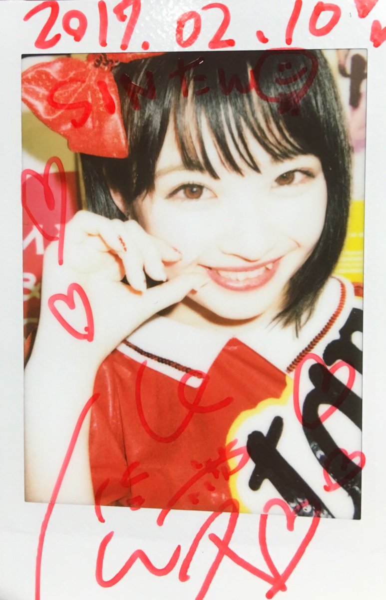 今日のここたん