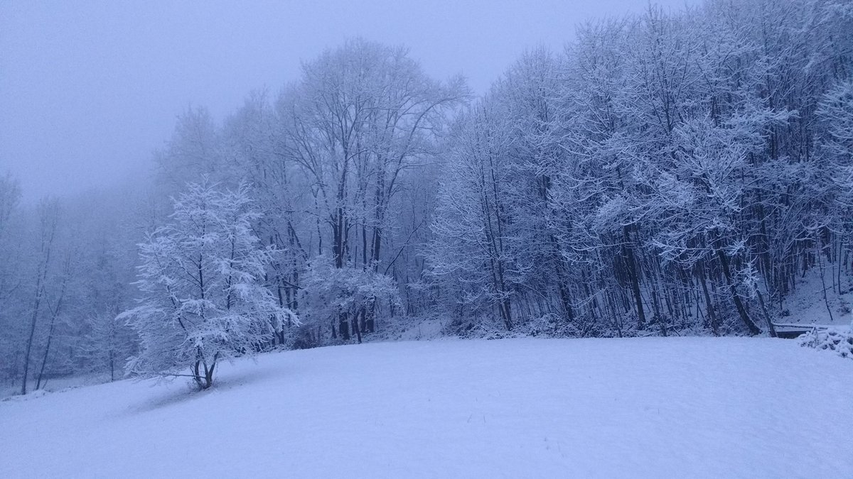 manchoa's tweet photo. Bianco risveglio questa mattina. https://t.co/aGaHUjzSfc