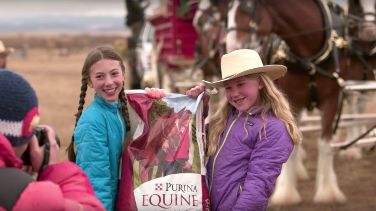 Today's <a href="/OvationRiding/">Ovation Riding</a> spotlight recognizes <a href="/home4everyhorse/">AHomeForEveryHorse</a>, Bud Clydesdales and @PurinaHorseFeed! horsenation.com/2017/02/10/sta…