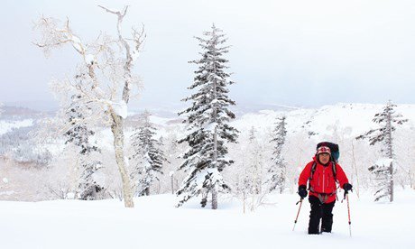 Winter in Hokkaido, Japan crwd.fr/2koxPJK