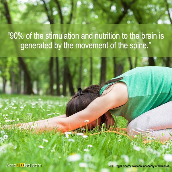 andrewyoder1977's tweet photo. 90% of the stimulation and nutrition to the brain is generated by the movement of the spine. https://t.co/HGhVchVW7e https://t.co/RToxAGv4Dq