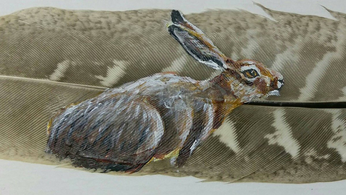 DustySoulsArt's tweet photo. Hare painted on pheasant feather...yes please! #HHLunch #HandmadeHour #ff #FridayFeeling https://t.co/pX9GwQU7xK