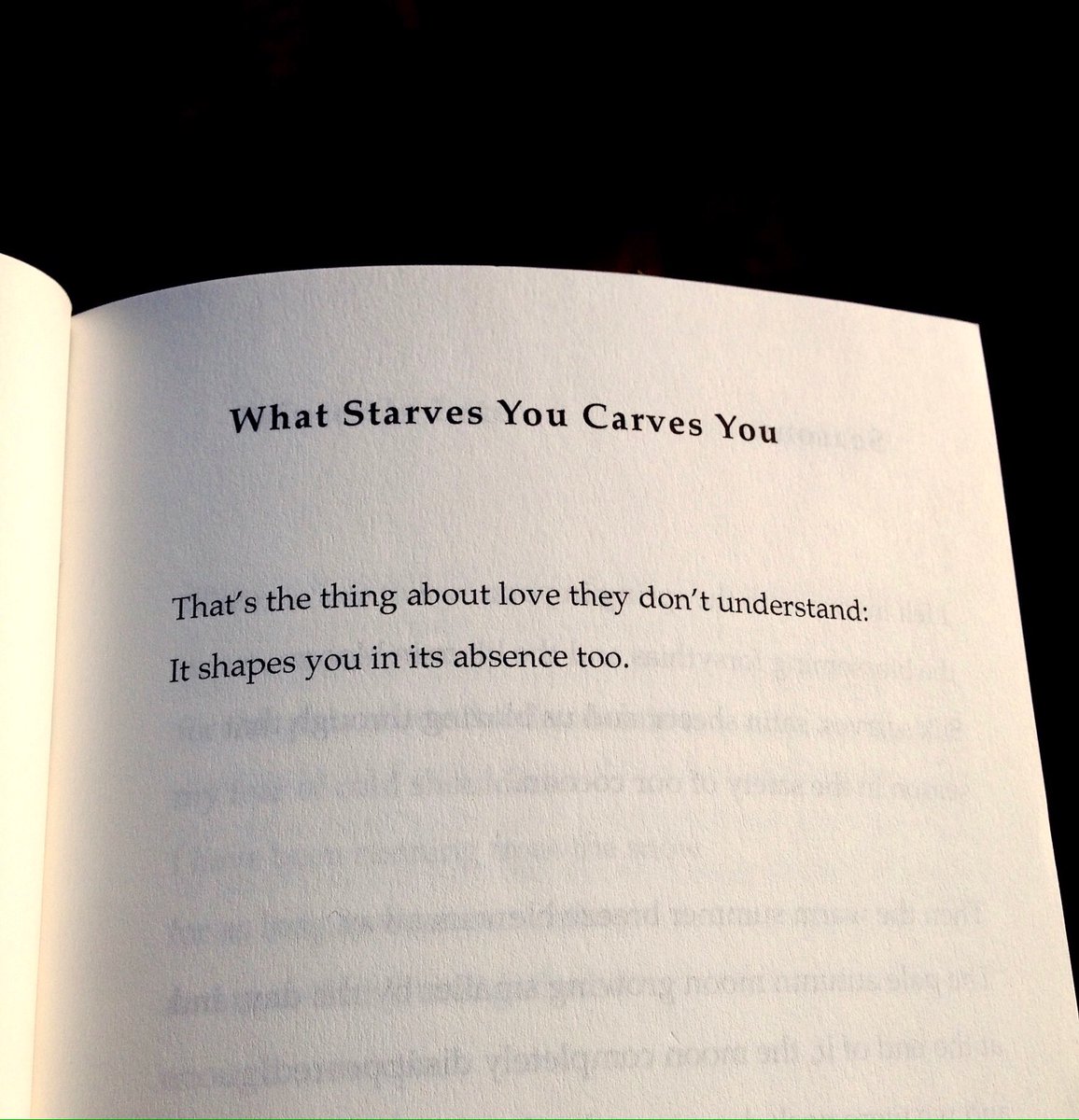 цитаты и высказывания из книг. красивые отрывки из книг о любви. красивые отрывки из книг. отрывки из книг длинные. цитаты из книжек.