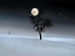 VTStateParks's tweet image. So a comet, an eclipse and a full moon walk into a bar...
(can you finish the joke?) But seriously....tonight: bit.ly/2kWqTY4