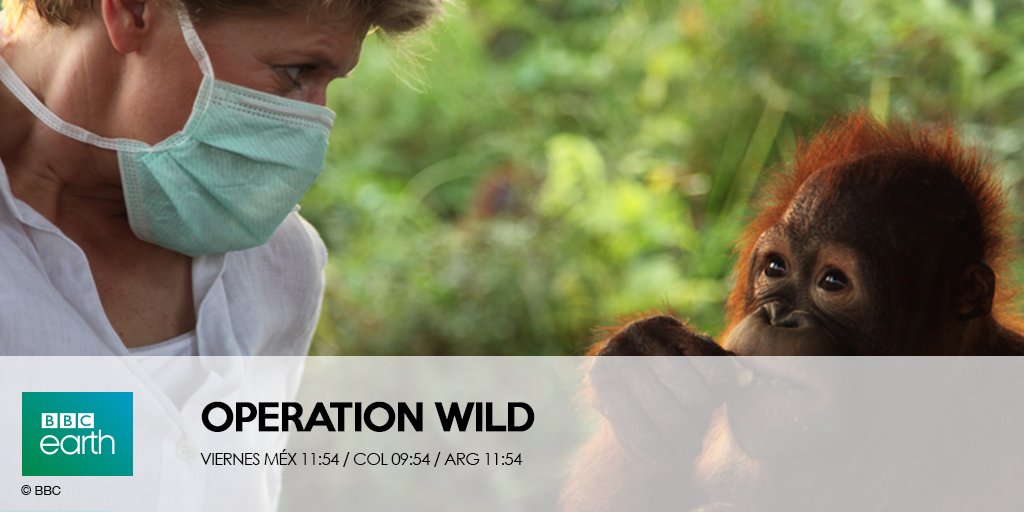 BBCEarthLatam's tweet photo. Es tan fascinante cómo estos creativos veterinarios se las ingenian para llevar la medicina animal hasta sus propios límites. #OperationWild https://t.co/sb9jk6dUVs