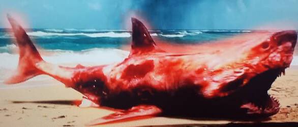 TABECHAUYO's tweet photo. 『シン・ジョーズ』核鮫爆誕！海を熱し陸を焦土へと変える最強生物に人類は勝てるのか！一部寒いおふざけ以外は割と真っ当に面白い。触れる物を全て燃やし、鮫に触れて死んだ魚も一定時間経つと大爆発する等超厄介な特性をどう攻略するかが見もの！鑑賞後、確かにこれはシン・ジョーズだわとなります。 https://t.co/N5bRWMjuFl