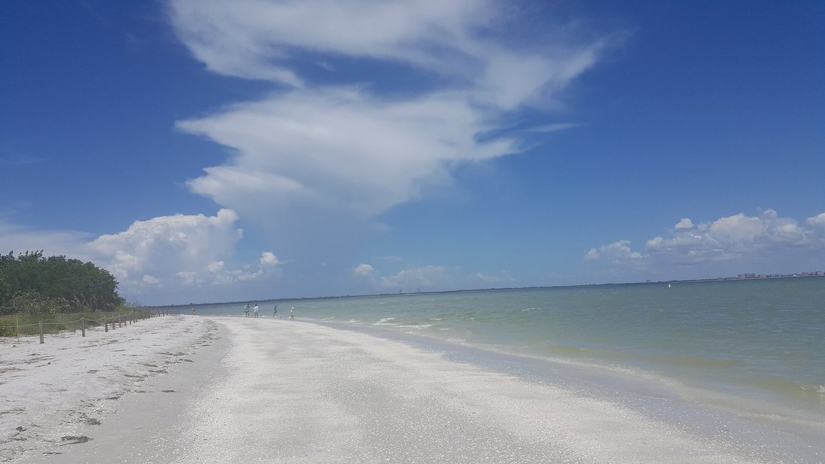 TatyVelleca's tweet photo. FLORIDA 🌴🌞 MUCH BETTER WEATHER THAN BOSTON, AYER CUBIERTA DE NIEVE HOY CUBIERTA DE SOL❤💋 https://t.co/O9oiCQnVtR