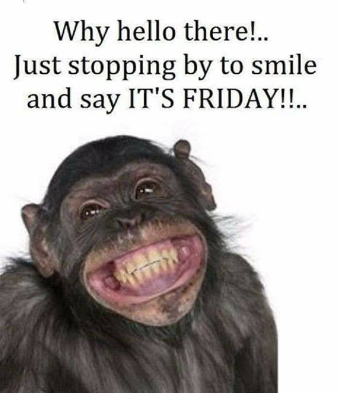 thelovespreader's tweet photo. WAHOO! Make it a great day, everyone! <3 https://t.co/QIMVHabPjf