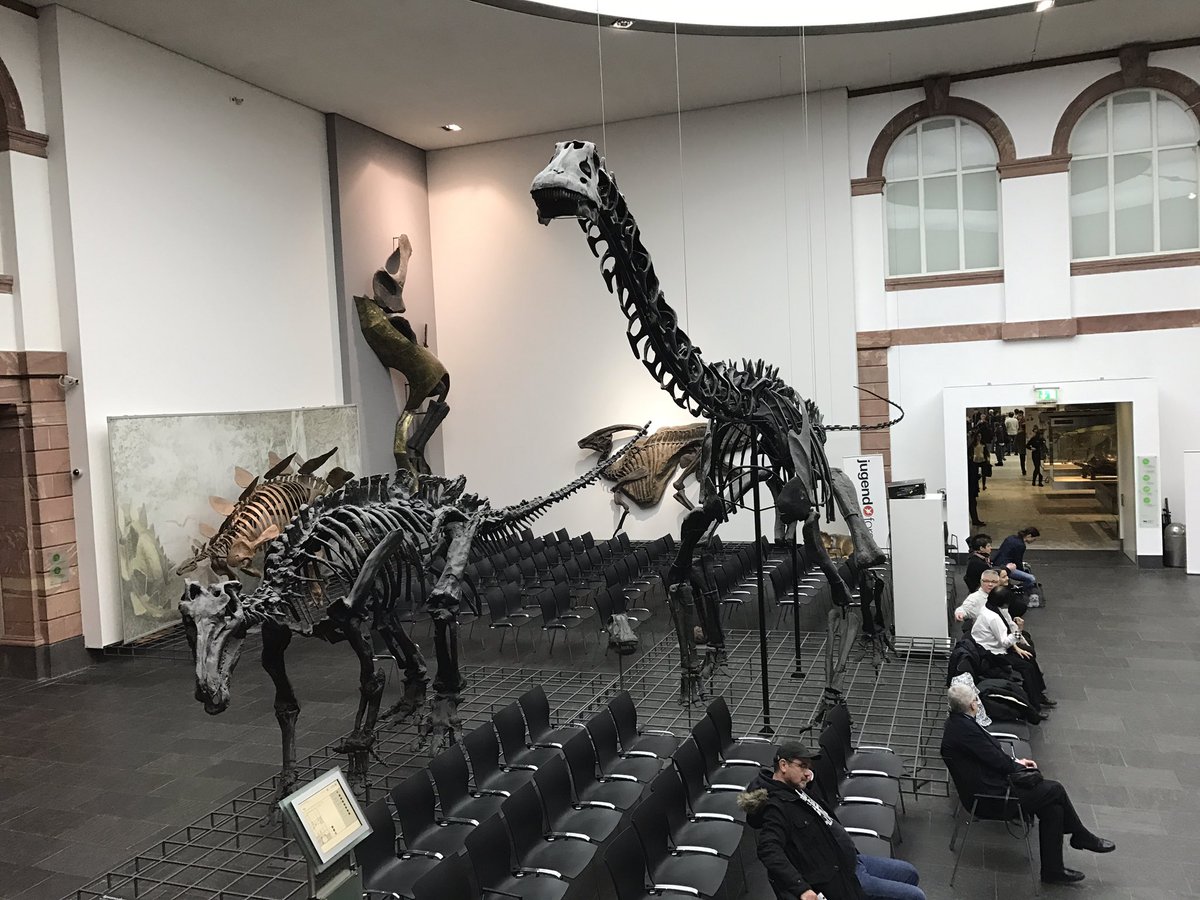 #PhysikinHollywood heute im Dinosauriersaal bei <a href="/Jugendforscht/">Jungforscher</a> im <a href="/Senckenberg/">SENCKENBERG</a> Museum.