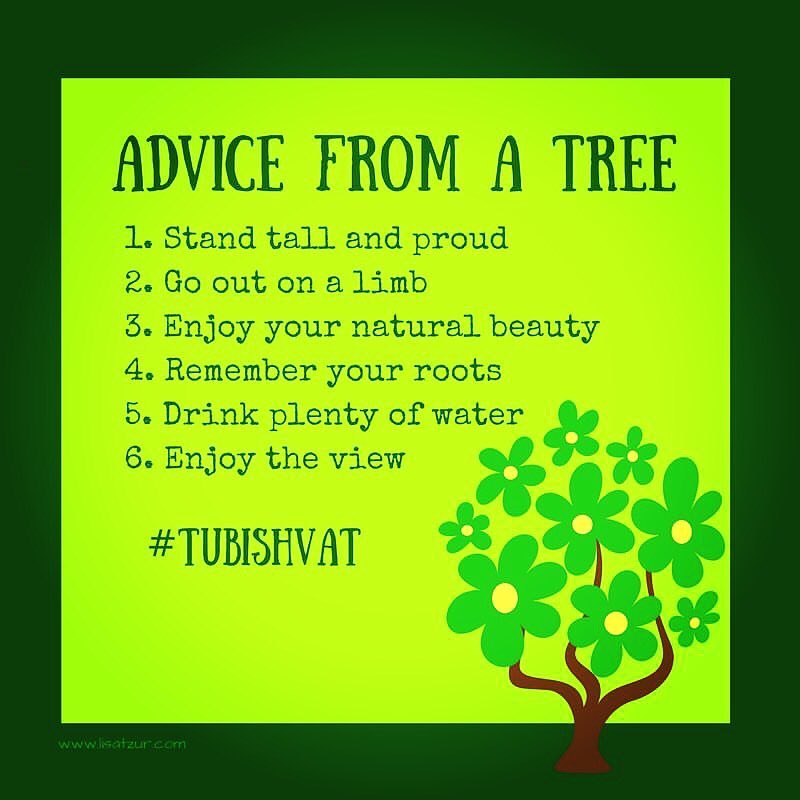 URJ_NETC's tweet image. #tubishvat #advicefromatree #positivejewishliving #netc #nejewishteens