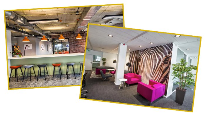 SB Projects tweet media