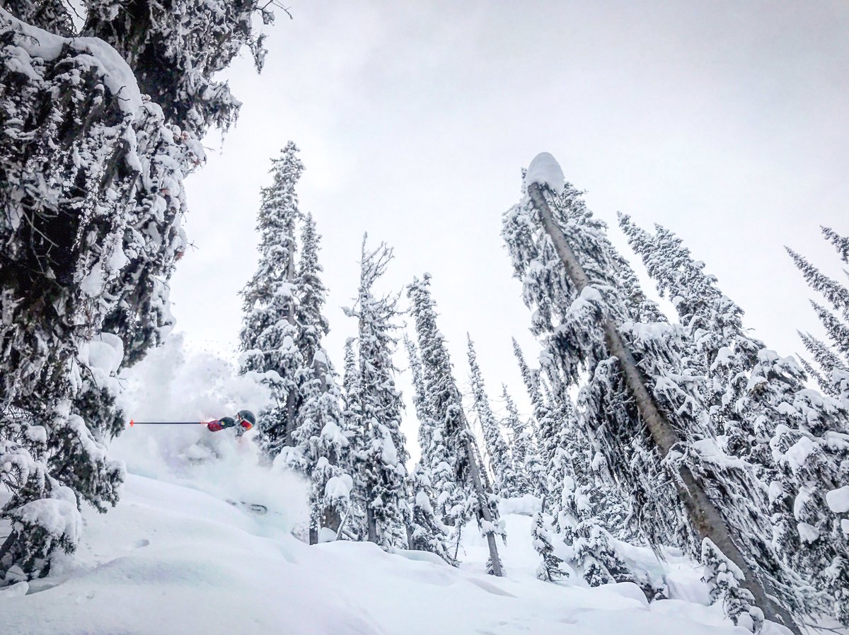 Kicking Horse Mountain Resort tweet media