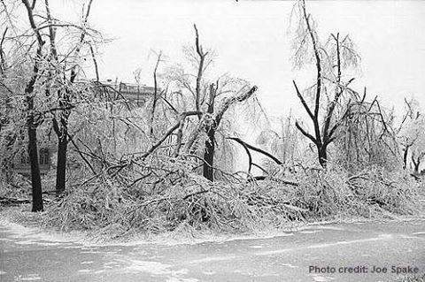 memphisweather1's tweet image. ON THIS DATE: 23 yrs ago - Ice Storm '94. Nearly 2" of ice by the morning of Feb 11, 300K w/o power in Shelby Co. alone! Remember? #memice