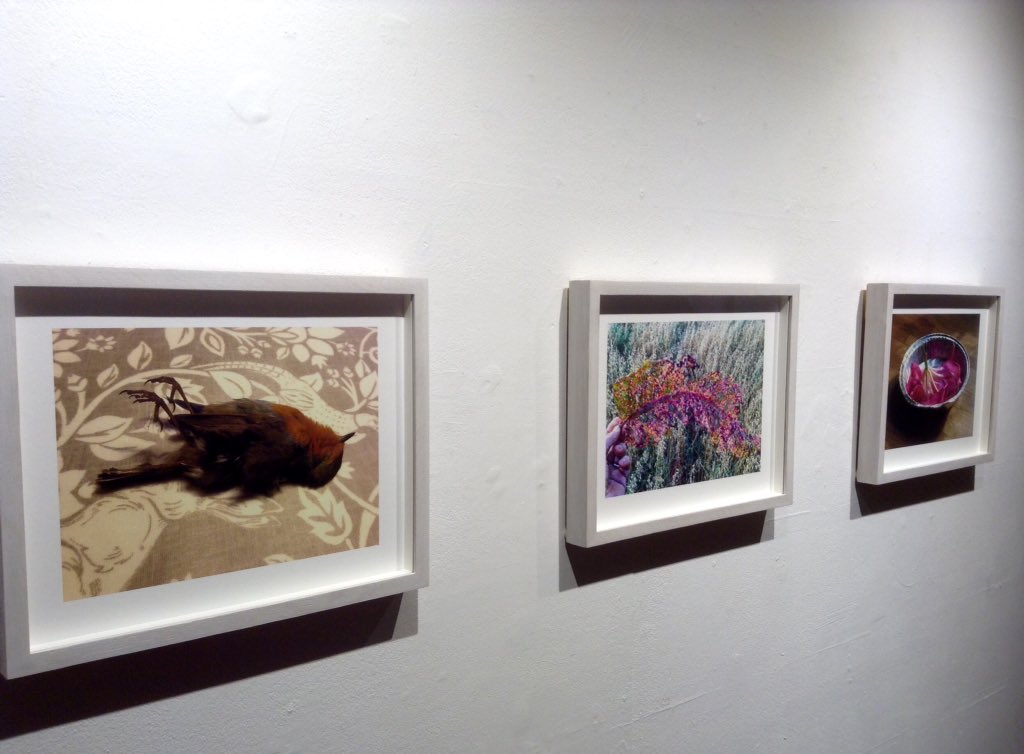 BlackSwanArts's tweet image. Preview in full swing for Seamus Nicolson. All welcome. Live music in cafe, come on down, it's Friday night after all...