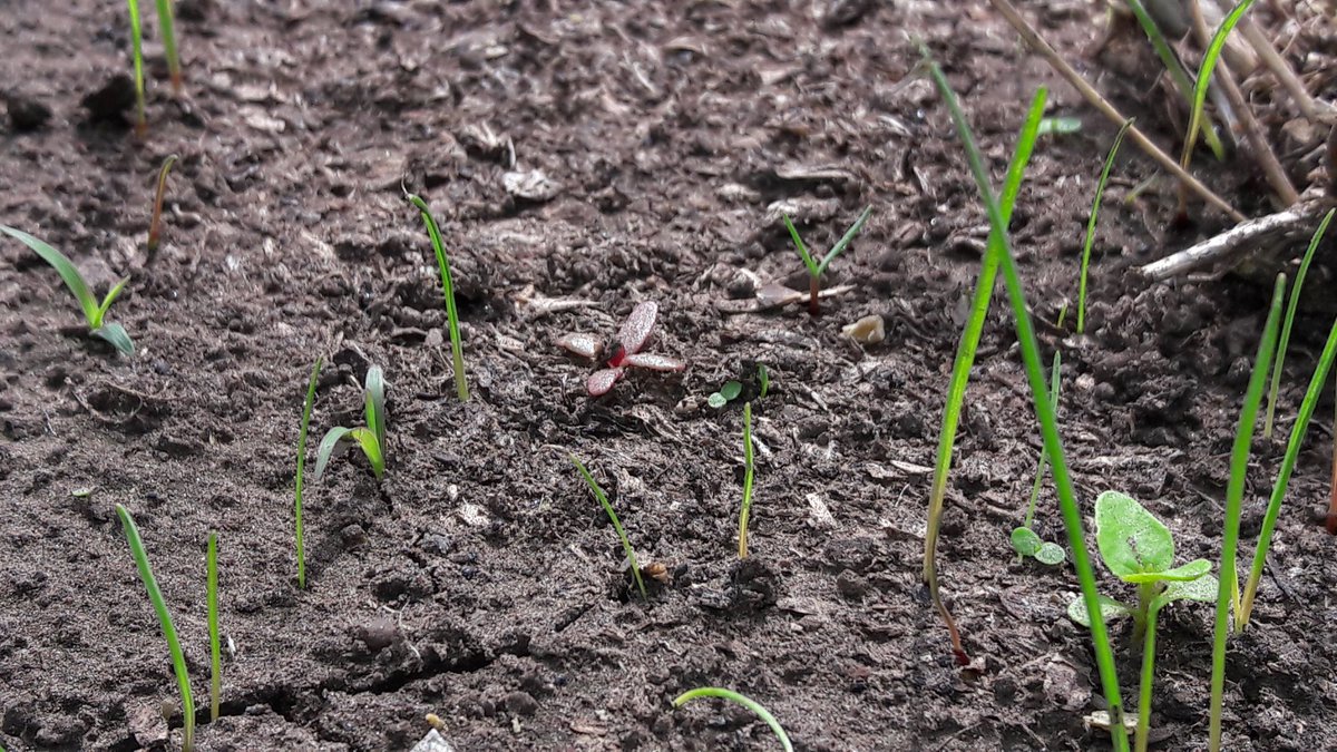 Carolina Martino tweet media