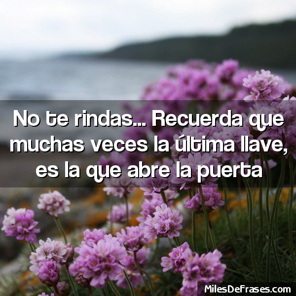 De Todo (@pongodetodo) on Twitter photo 