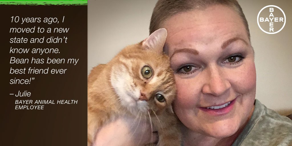 Elanco4Pets's tweet photo. Our #Pets are our friends &amp; our healers! Employee Julie Vollertsen &amp; her #cat Bean share this bond. #InternationalFriendshipMonth #BayerPet https://t.co/fQU2g7nsd5