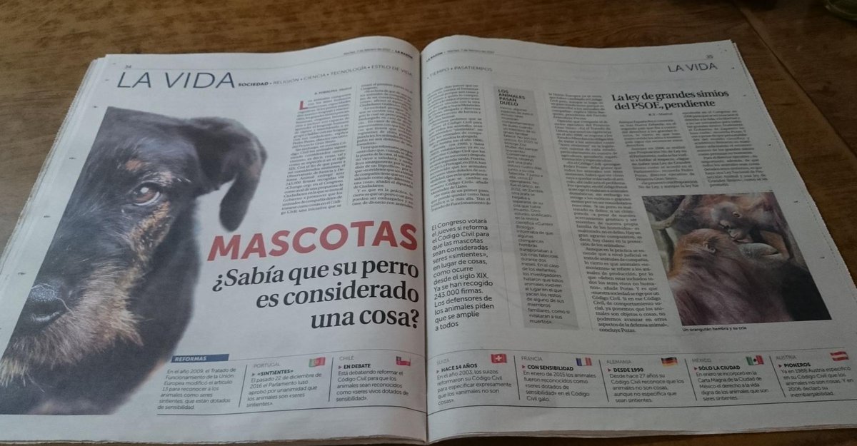 Espero que salga adelante la iniciativa de <a href="/ObservatorioJDA/">Observatorio de Justicia y Defensa Animal</a> para modificar el Código Civil y que los animales dejen de ser "cosas".